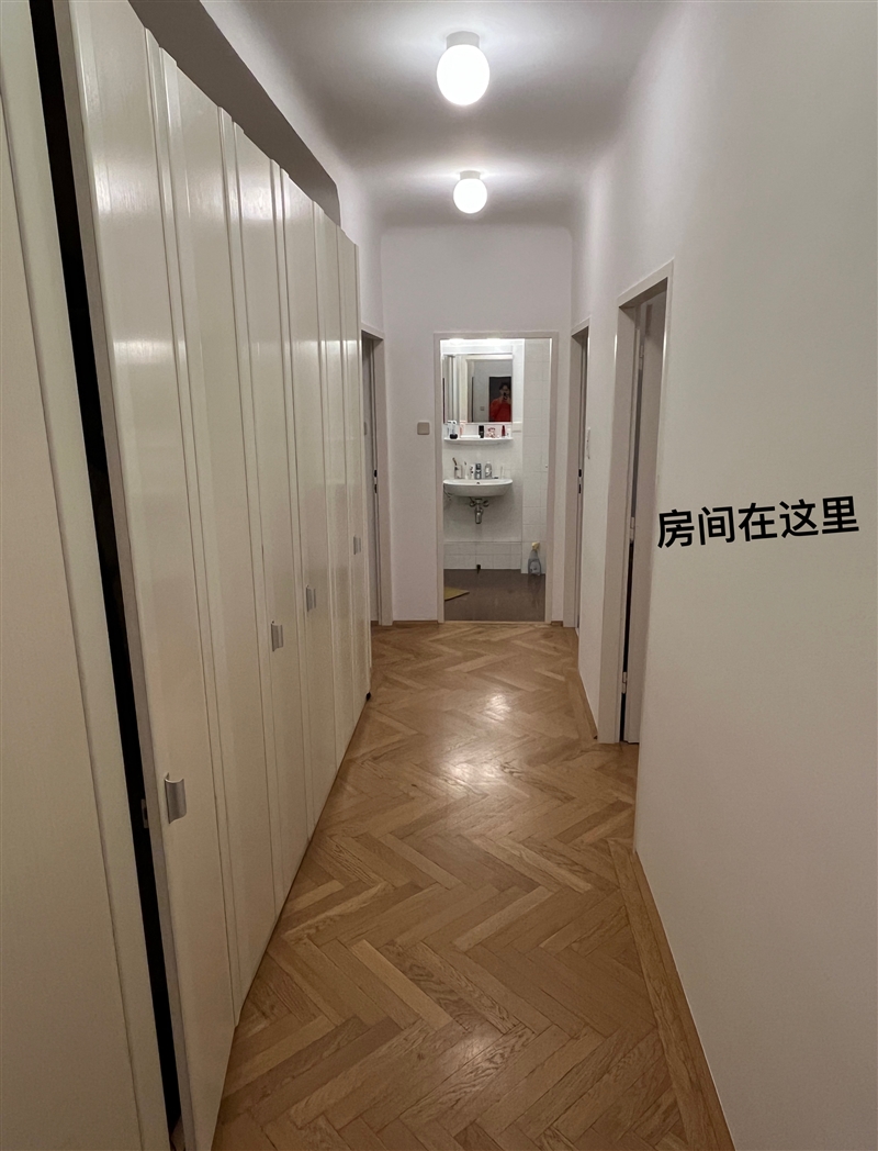 维也纳一区WG出租