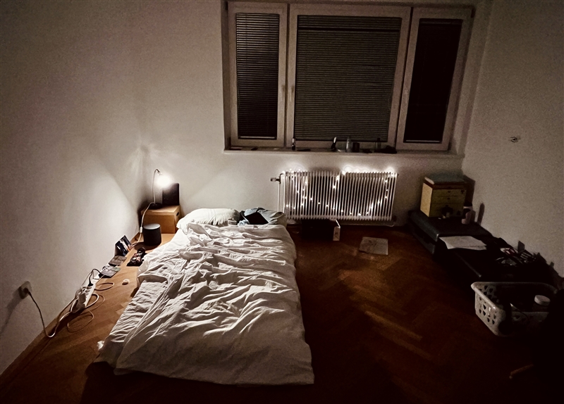 维也纳一区WG出租