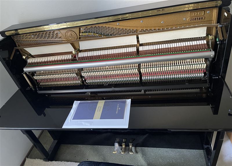 转让德国贝希斯坦Bechstein 立式钢琴几乎是新琴